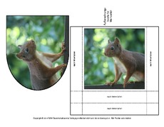 Eichhörnchen-Merkzettel-1.pdf